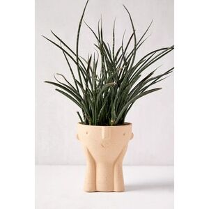UO Face Planter